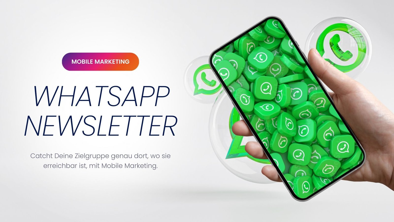 WhatsApp Newsletter Setup